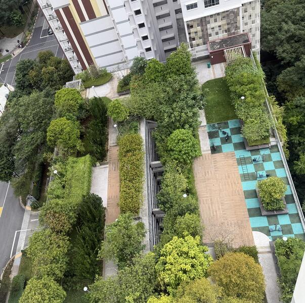 For Rent - 79 Dawson Road