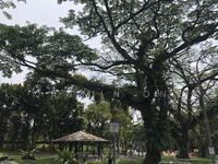 For Sale - ☎️9386*7644 JASMIN ⭐️DEVELOPERS’ FAV!SUB-DIVISIBLE LAND⭐️