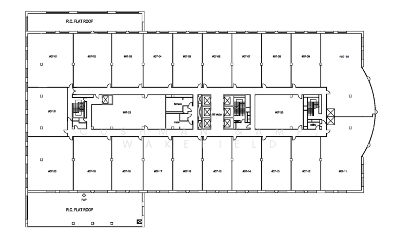 51 Cuppage Road, 51 Cuppage Road, 3,810 sqft, Office For Rent, by Adeline Joviani, 500043962 - CommercialGuru.com.sg