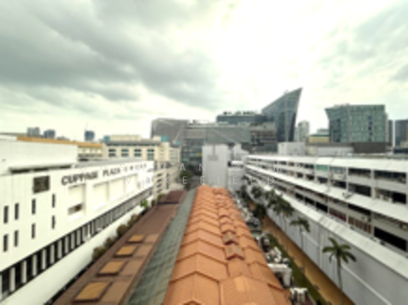51 Cuppage Road, 51 Cuppage Road, 3,810 sqft, Office For Rent, by Adeline Joviani, 500043962 - View - CommercialGuru.com.sg