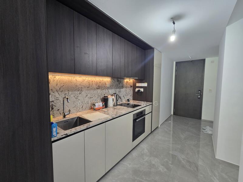 Tembusu Grand, 94 Jalan Tembusu, 1 Bedroom, 527 sqft, Condominium For Rent, by Alex Ang, 500045374 - Kitchen - PropertyGuru.com.sg