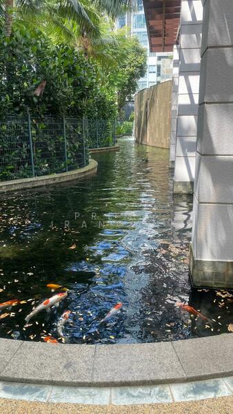 Amaryllis Ville Condominium For Sale at S$ 2,050,000 | PropertyGuru Singapore - Exterior, Koi Pond