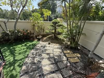 For Sale - Priced to Sell! Freehold Three Storey Semi Detached at Loyang Enclave for Sale