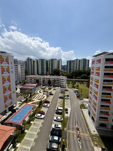 For Sale - 234 Choa Chu Kang Central