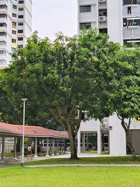 350 Ang Mo Kio Street 32, 350 Ang Mo Kio Street 32, 3 Bedrooms, 1,184 sqft, HDB Flat For Rent, by Ong Sandra, 500047072 - PropertyGuru.com.sg