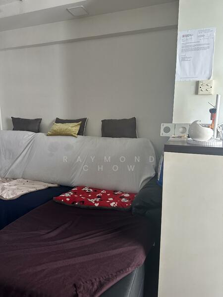 For Rent - 11 Holland Drive