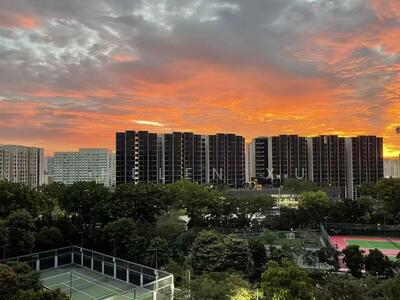 For Sale - The Palette