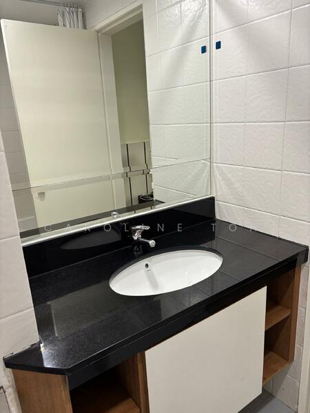 International Plaza, 10 Anson Road, Room Rental, 180 sqft, Apartment For Rent, by Caroline Toh, 500047936 - Bathroom - PropertyGuru.com.sg