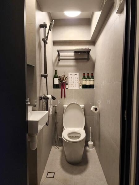 Toilet with premium fittings