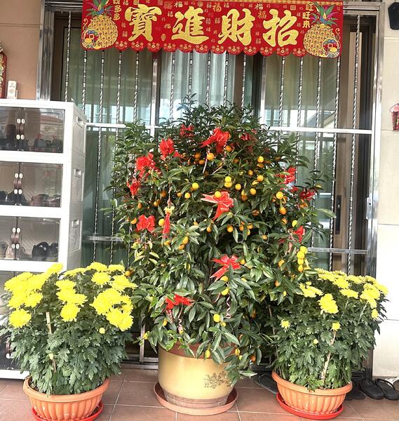 For Sale - Villa Verde