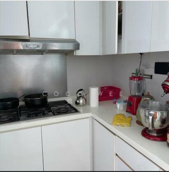 ClementiWoods Condominium, West Coast Road, 4 Bedrooms, 2,874 sqft, Condominium For Rent, by Coco Wee 魏美华, 500048814 - Kitchen - PropertyGuru.com.sg