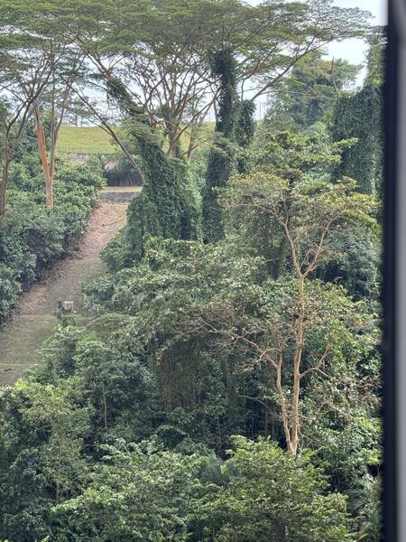 For Sale - 110A Depot Road