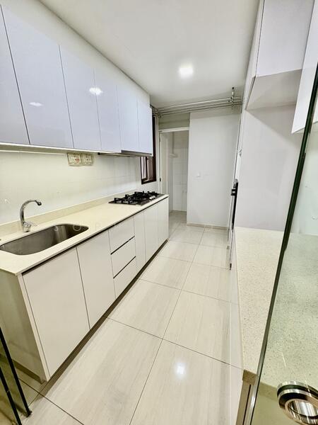 Terrasse, 23 Terrasse Lane, 3 Bedrooms, 1,152 sqft, Condominium For Rent, by Sophia SONG 宋红岩, 500049774 - Kitchen - PropertyGuru.com.sg