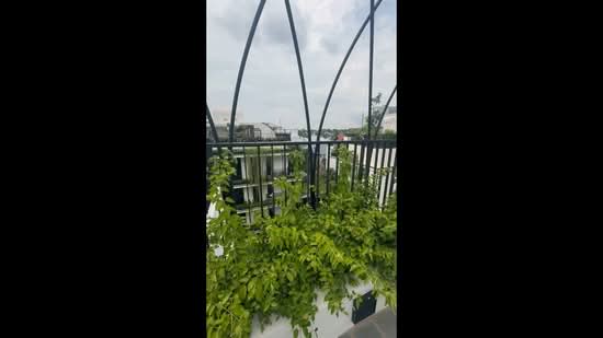 Jervois Mansion, 4 Jervois Close, 2 Bedrooms, 678 sqft, Condominium For Rent, by Michelle Foo, 500049788 - PropertyGuru.com.sg