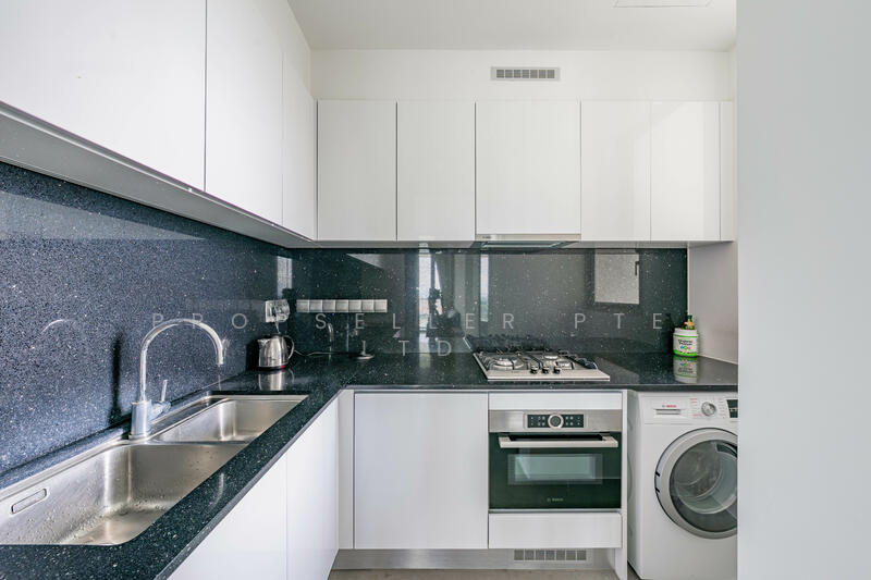 Kallang Riverside, 51 Kampong Bugis, 2 Bedrooms, 958 sqft, Condominium For Rent, by Gina Tow, 500049974 - Kitchen - PropertyGuru.com.sg