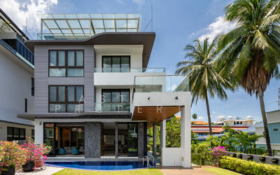 For Sale - Sun Rosea