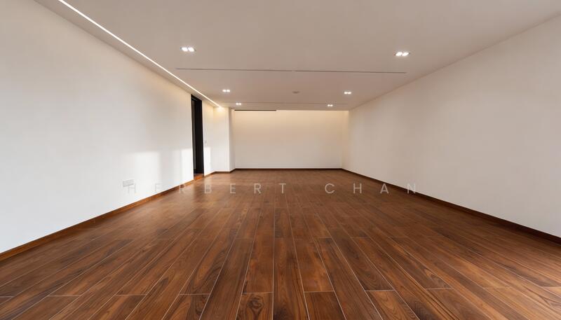 ⭐ HUGE LAND WIDE FRONTAGE SEMI-D THAT FEELS DETACHED ⭐ Semi-Detached House For Sale at S$ 15,900,000 | PropertyGuru Singapore - Basement