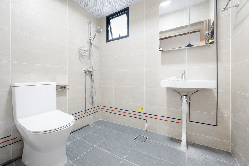 244A Tengah Central, 244A Tengah Central, Room Rental, 180 sqft, HDB Flat For Rent, by Jane Fong, 500050681 - Bathroom - PropertyGuru.com.sg