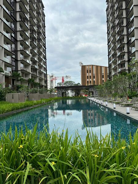 Dairy Farm Residences Condominium For Sale at S$ 1,320,000 | PropertyGuru Singapore - Pool