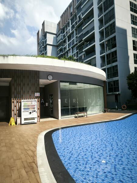 Twin Fountains, 11 Woodlands Avenue 6, Studio, 300 sqft, Executive Condominium For Rent, by Xavier Ng, 500050918 - Pool - PropertyGuru.com.sg
