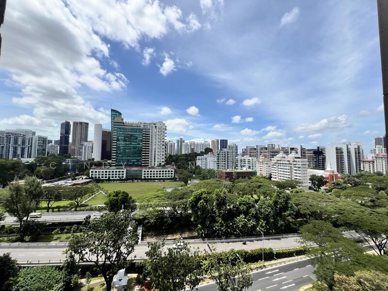 Pullman Residences, 18 Dunearn Road, 1 Bedroom, 463 sqft, Condominium For Rent, by Cindy Tan Sze Hui, 500050936 - View - PropertyGuru.com.sg