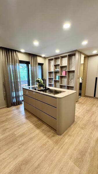 Brand new InterTerrace Freehold Terraced House For Sale at S$ 7,880,000 | PropertyGuru Singapore - Kitchen