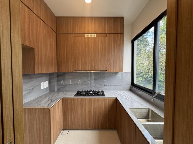 Ready! Brand new 2.5 Storey + basement terrace Terraced House For Sale at S$ 6,380,000 | PropertyGuru Singapore - Kitchen