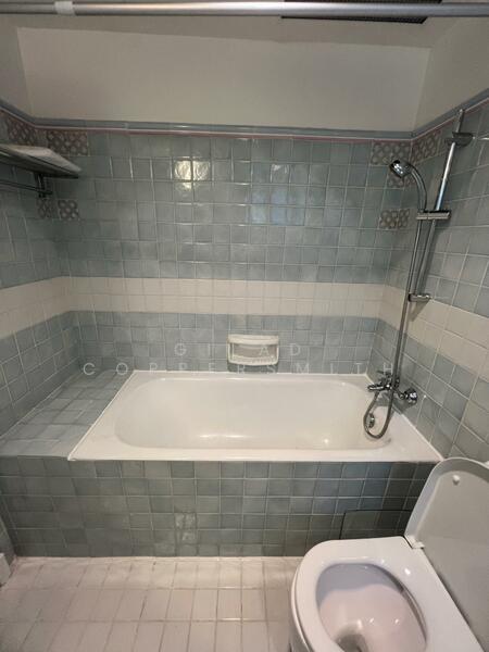 Cavenagh Lodge, 81 Cavenagh Road, 1 Bedroom, 626 sqft, Apartment For Rent, by Gilad Coppersmith, 500051706 - Bathroom - PropertyGuru.com.sg