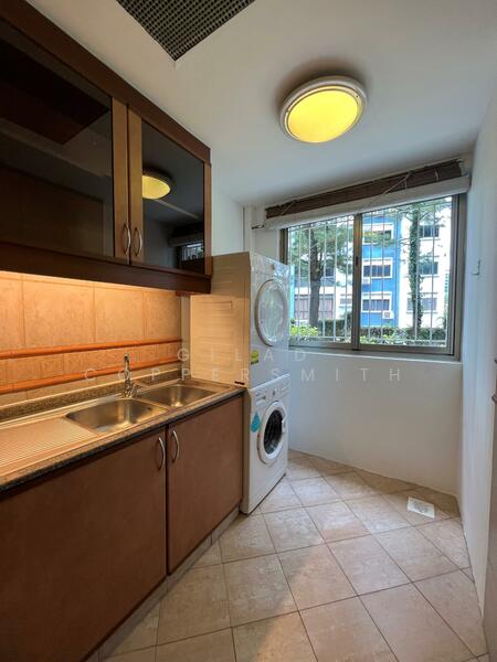 Cavenagh Lodge, 81 Cavenagh Road, 1 Bedroom, 626 sqft, Apartment For Rent, by Gilad Coppersmith, 500051706 - Kitchen - PropertyGuru.com.sg