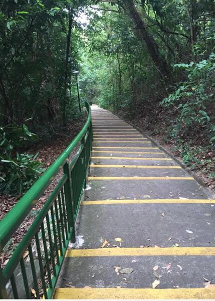 109A Depot Road, 109A Depot Road, Room Rental, 90 sqft, HDB Flat For Rent, by Cynthia Lee H C, 500051819 - Others - PropertyGuru.com.sg