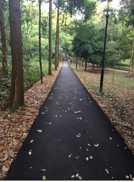 109A Depot Road, 109A Depot Road, Room Rental, 90 sqft, HDB Flat For Rent, by Cynthia Lee H C, 500051819 - Others - PropertyGuru.com.sg