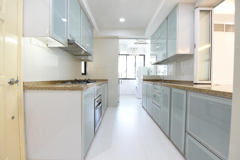 Spring Grove, 53A Grange Road, 3 Bedrooms, 1,389 sqft, Condominium For Rent, by Sharon Tan, 500052480 - Kitchen - PropertyGuru.com.sg
