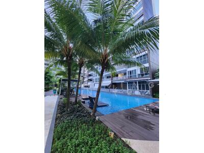 For Rent - Seastrand