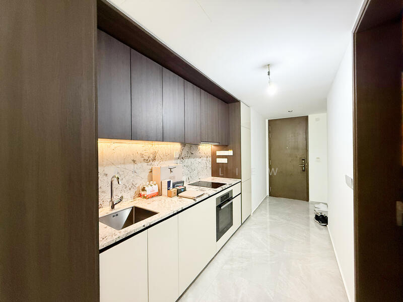 Tembusu Grand, 98 Jalan Tembusu, 1 Bedroom, 527 sqft, Condominium For Rent, by Angie Liew, 500052806 - Kitchen - PropertyGuru.com.sg