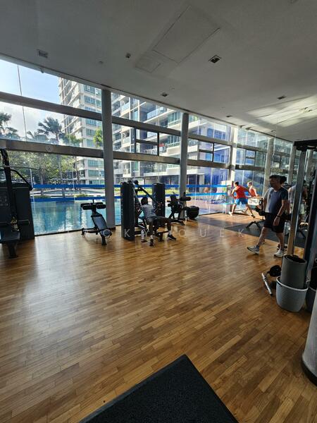 Livia, 71 Pasir Ris Grove, Room Rental, 130 sqft, Condominium For Rent, by Jacky Quek, 500053211 - PropertyGuru.com.sg