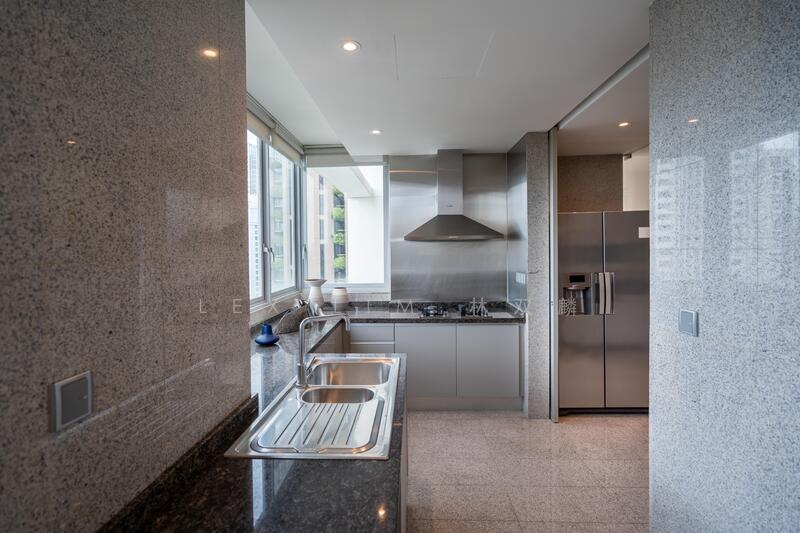Draycott Eight Condominium For Sale at S$ 6,320,520 | PropertyGuru Singapore - Kitchen