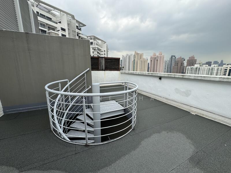 Roof terrace ( lower level) 