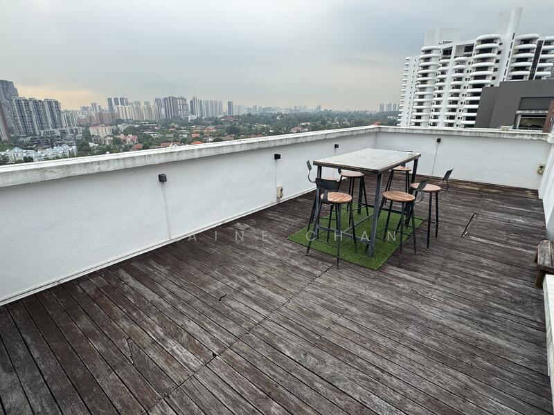 Roof terrace ( upper level) 