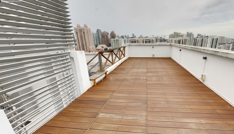Studio 3, 28 Shanghai Road, 1 Bedroom, 1,044 sqft, Apartment For Sale, by Elaine Chan, 500053664 - Roof terrace ( upper level)  - PropertyGuru.com.sg