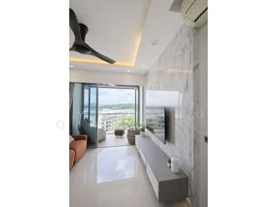 For Sale - Skies Miltonia