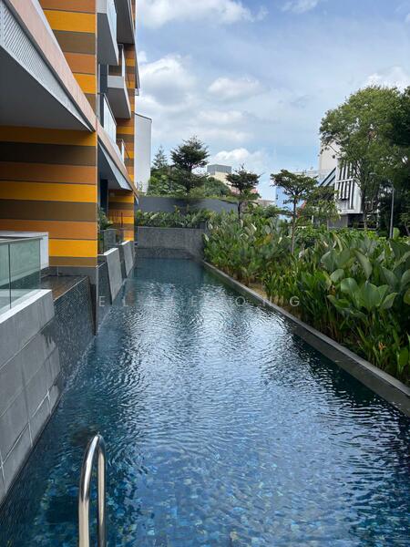 Liv on Wilkie, Wilkie Terrace, 1 Bedroom, 350 sqft, Apartment For Rent, by Elsie Ong, 500053694 - PropertyGuru.com.sg