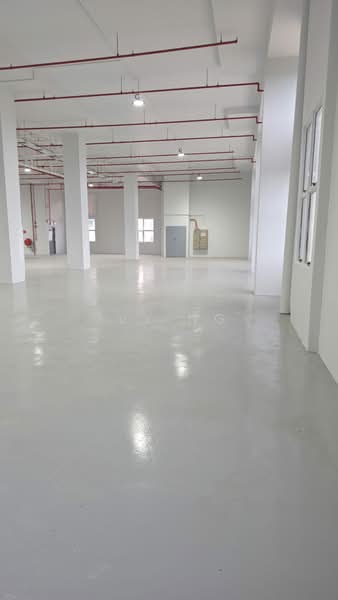 Tuas Factory For Rent, , 18,000 sqft, Factory / Workshop (B2) For Rent, by Ivy Ng, 500053718 - Interior - CommercialGuru.com.sg