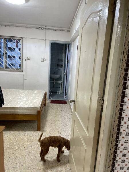 533 Bedok North Street 3, 533 Bedok North Street 3, 2 Bedrooms, 1,044 sqft, HDB Flat For Rent, by VASANTHANY VIMAR KUMAAR, 500053835 - PropertyGuru.com.sg