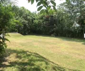 For Sale - D11 Off Dunearn Road. Beautiful plot for rebuild. Can subdivide. Jean 93571119