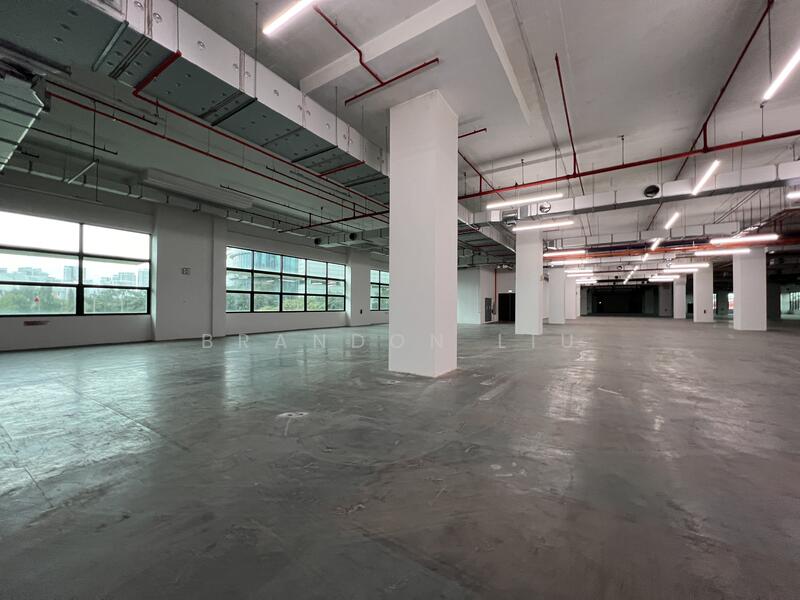 10 Toh Guan Road, 10 Toh Guan Road, 52,571 sqft, Warehouse For Rent, by Brandon Liu, 500054674 - Interior - CommercialGuru.com.sg