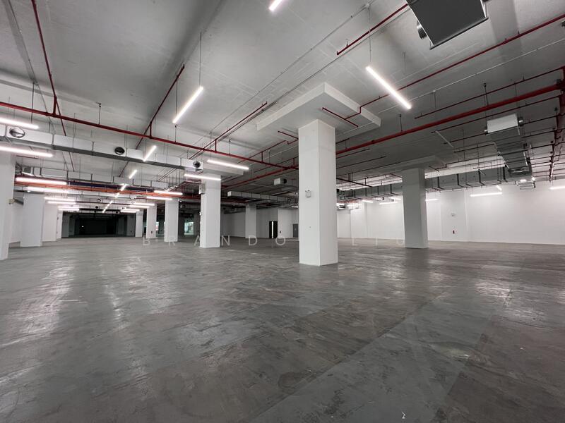 10 Toh Guan Road, 10 Toh Guan Road, 52,571 sqft, Warehouse For Rent, by Brandon Liu, 500054674 - Interior - CommercialGuru.com.sg