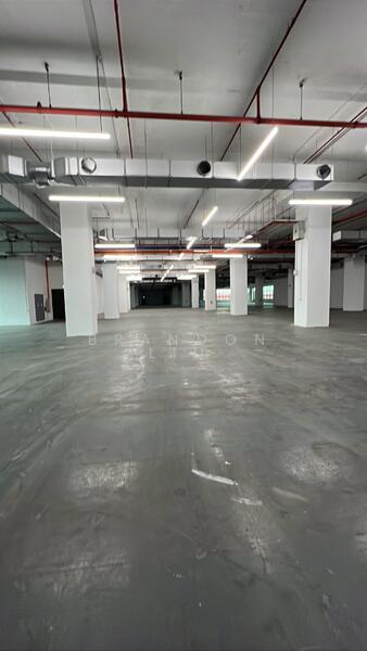 10 Toh Guan Road, 10 Toh Guan Road, 52,571 sqft, Warehouse For Rent, by Brandon Liu, 500054674 - Interior - CommercialGuru.com.sg