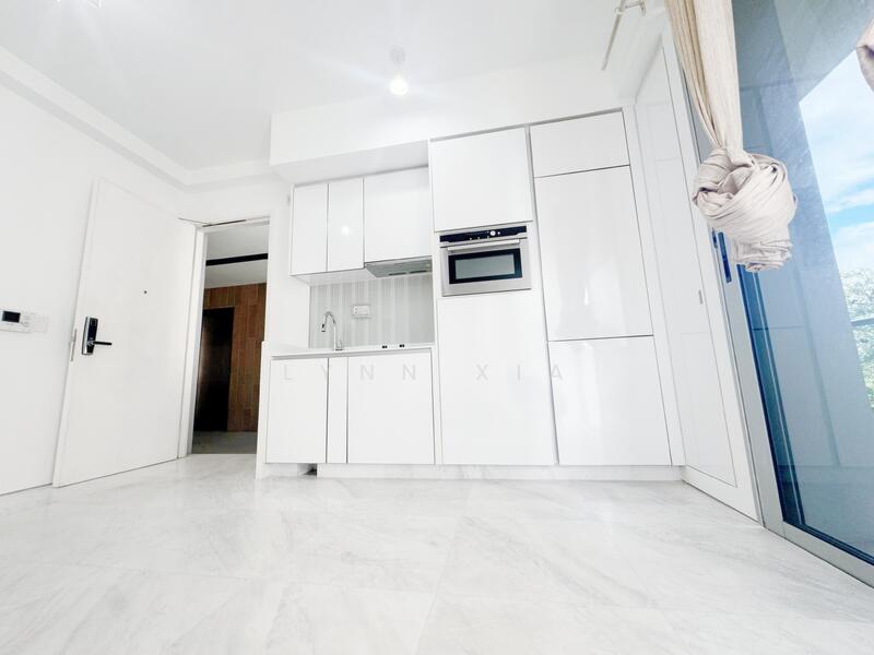 Suites @ Newton, 1 Surrey Road, 1 Bedroom, 484 sqft, Apartment For Rent, by Lynn Xia, 500054880 - Kitchen - PropertyGuru.com.sg