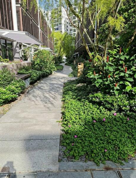 The Woods, Westwood Avenue, Room Rental, 150 sqft, Semi-Detached House For Rent, by Midco Tee, 500055019 - Exterior - PropertyGuru.com.sg