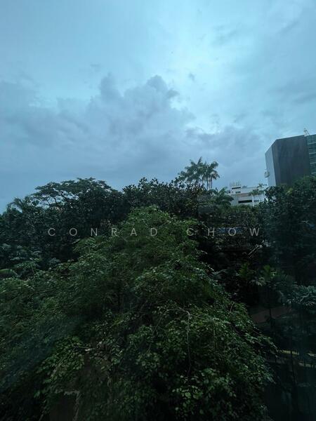 Thomson 800, 798 Thomson Road, 3 Bedrooms, 1,400 sqft, Condominium For Rent, by Conrad Chow, 500055068 - PropertyGuru.com.sg